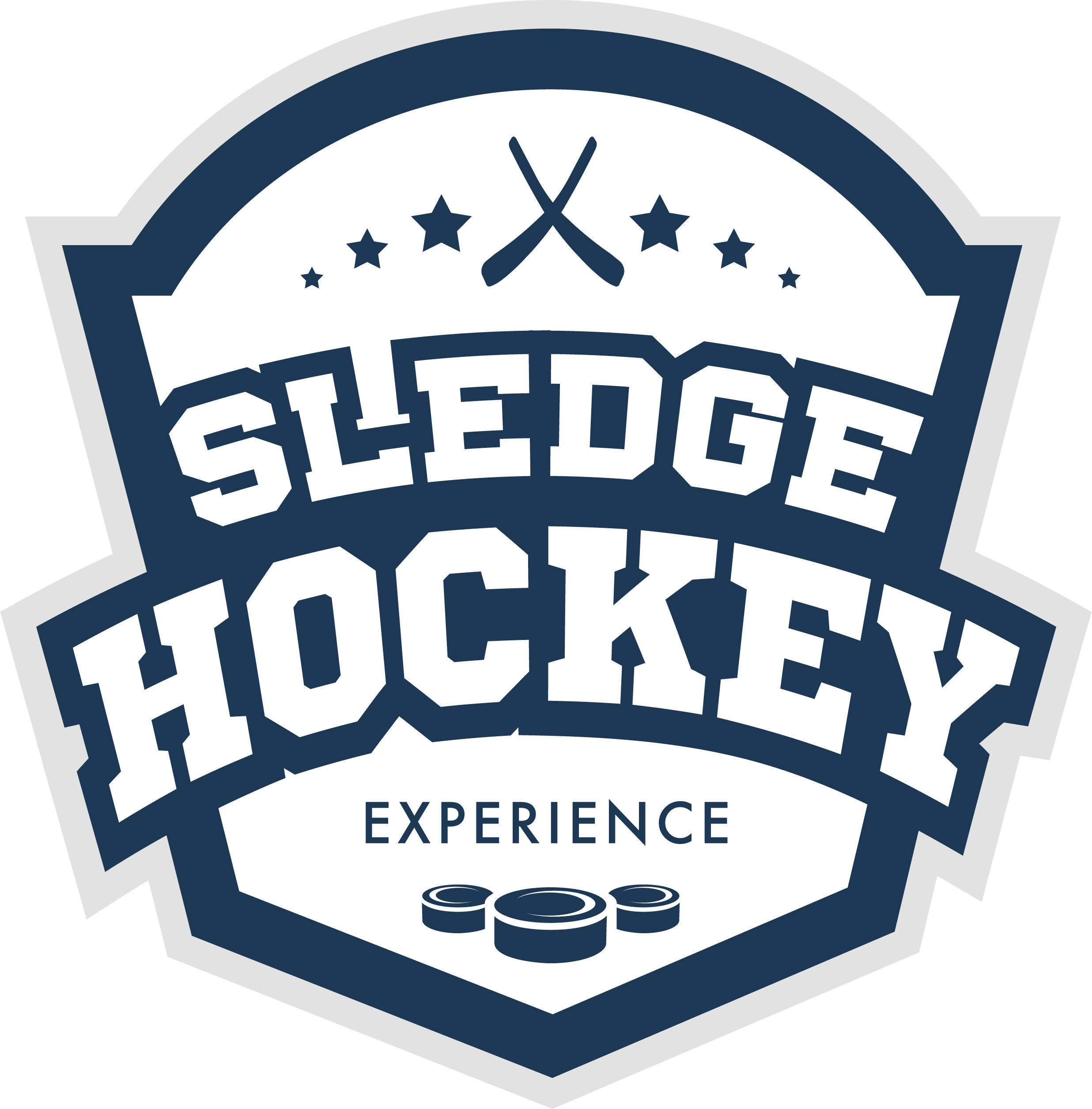 Sledge Hockey